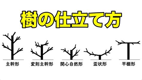 木 形|【必見！】木の樹形の種類！木の仕立て方について！【まずは型。